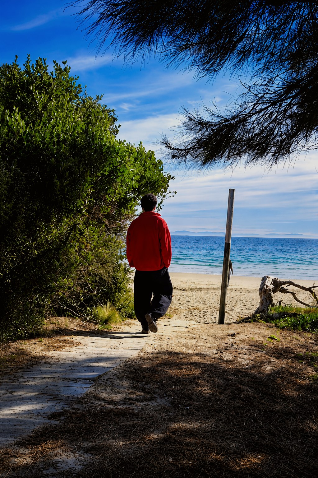Aditya, on a walk